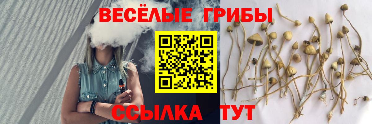 Трёхгорный  Псилоцибиновые грибы Cubensis  Вход с VPN  Псилоцибиновые грибы Psilocybine cubensis 